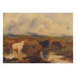 J. B. Qummery Cattle in a landscape Signed oil on canvas dated 1909  24 x 35 cm.Worldwide shipping