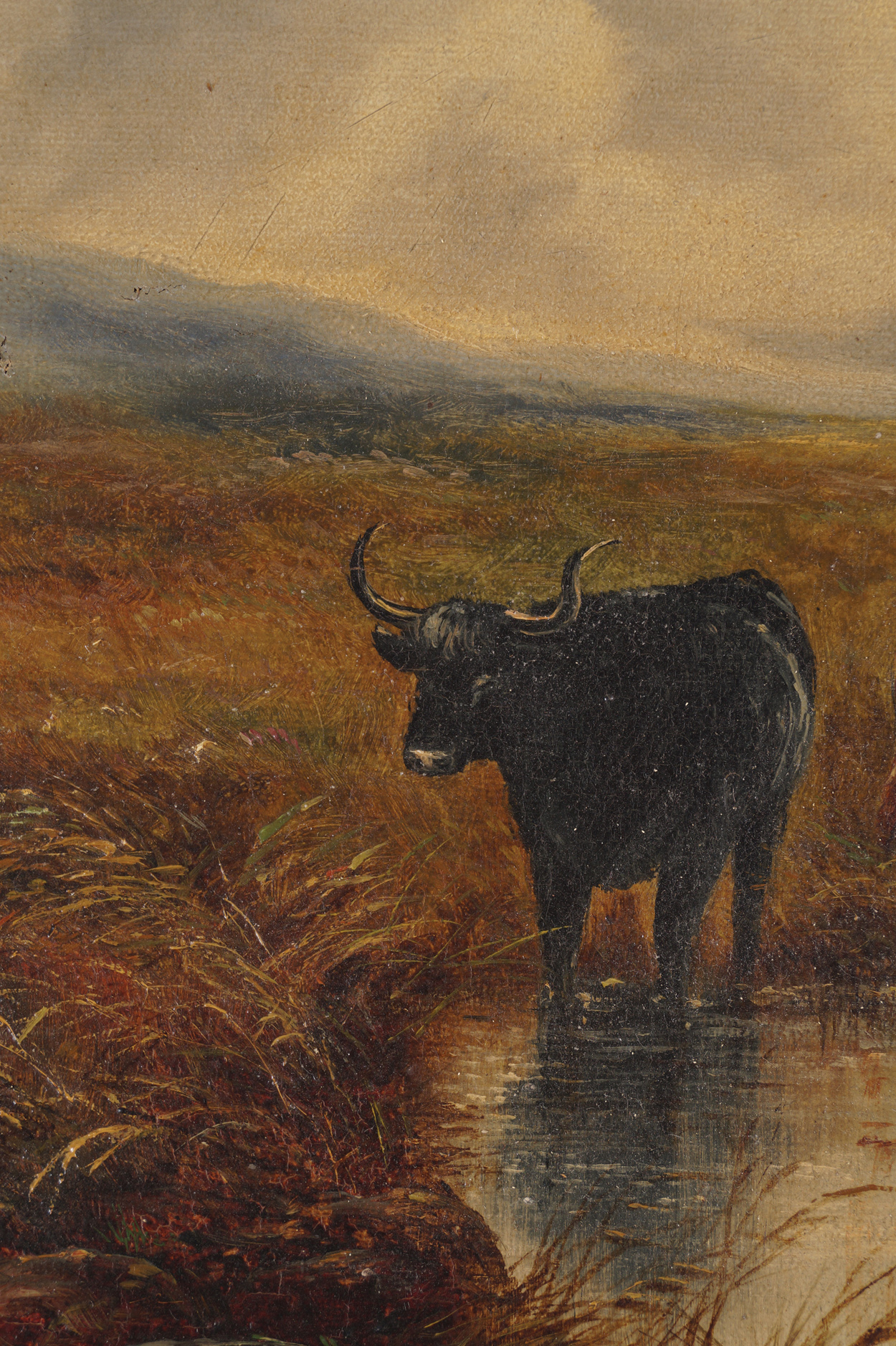 J. B. Qummery Cattle in a landscape Signed oil on canvas dated 1909  24 x 35 cm.Worldwide shipping - Image 4 of 6