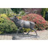 LIFESIZE BRONZE SCULPTURE OF A STAG with twelve point antlers 180 cm. high; 200 cm. wide; 65 cm.