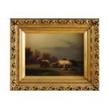 CHARLES DIELMAN (BELGIAN, 1830-1895) Belgium School Sheep in a landscape Oil on panel Signed 49 x 39