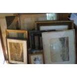 LOT OF 14 PRINTS