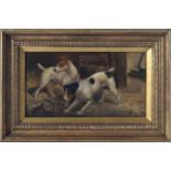 E. HOLLIS, CIRCA 1890 Ratting Jack Russells Oil on canvas Signed 17 x 32 cm.