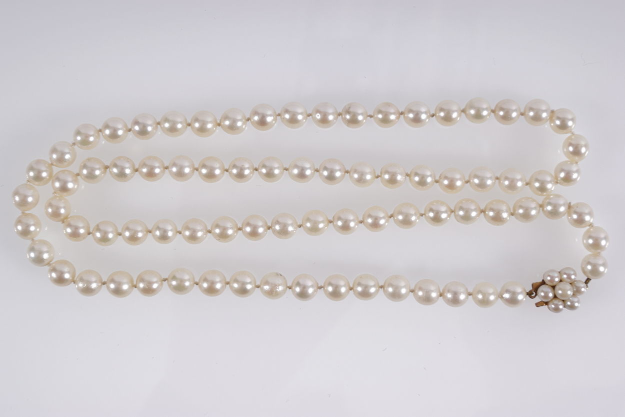 LONG STRAND OF CULTURED PEARLS with pearl flower clasp 60 cm.