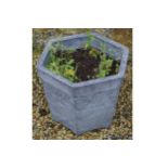 HEXAGONAL SHAPED PLANTER