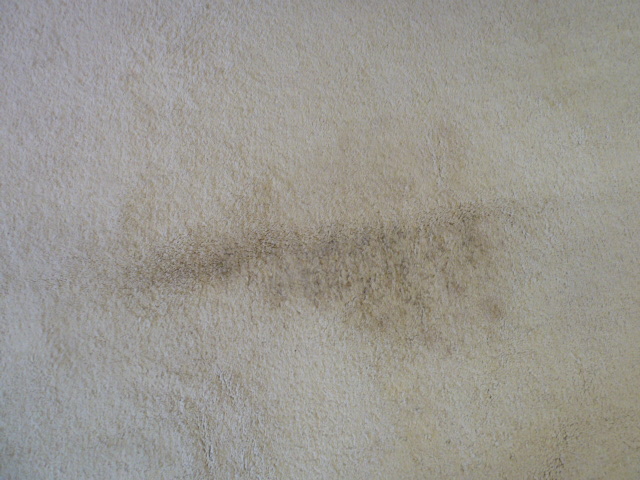 Large cream woollen carpet approx 21' x 12' - Image 2 of 3