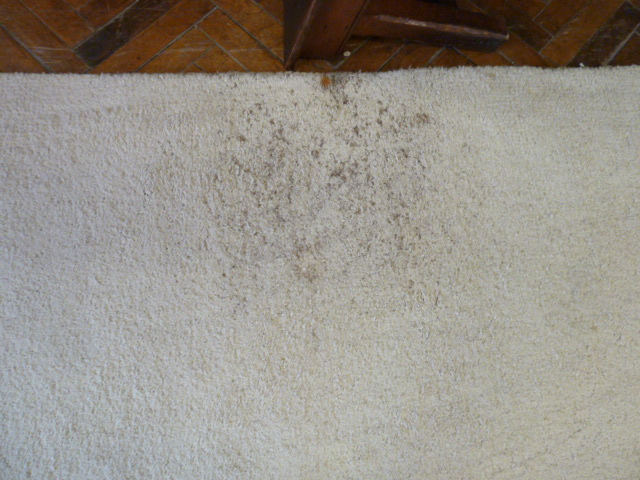 Large cream woollen carpet approx 21' x 12' - Image 3 of 3