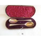 Cased pair silver fruit spoons - Sheffield 1900