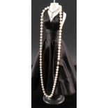 AKOYA PERLENKETTEGleichmäßig gewachsene Perlen mit feinem Lüster. D. ca. 7mm. Schließe 585/000