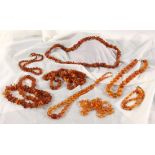 LOT VON 8 BERNSTEINKETTENZus. ca. 290gA LOT OF 8 AMBER NECKLACESca. 290g in total.