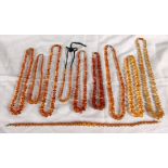 LOT VON 10 BERNSTEINKETTENZus. ca. 230g A LOT OF 10 AMBER NECKLACESca. 230g in total.