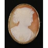 MUSCHELKAMEE Oval, mit antikem Frauenportrait. 585/000 Goldfassung. 5x4cm A SHELL CAMEO Oval, with