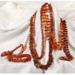 LOT VON 5 BERNSTEINKETTEN zus. ca. 200g A LOT OF 5 AMBER NECKLACES ca. 200g in total.