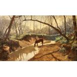 MEYER-WALDECK, KUNZ Mitau 1859 - 1953 Neuburg am Inn Trinkendes Pferd an einer Wasserstelle im Wald.