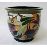 A modern Moorcroft pottery jardiniere tubeline decorated in the Carp Circles design by Nicola