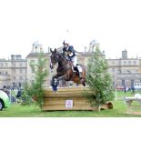 Badminton Horse Trials invite you and 3 guests to enjoy a VIP experience