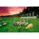 Latitude Festival Tickets 2017 including VIP Weekend Camping for 4 people