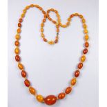 A string of yellow amber beads, 39g