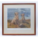 Framed and glazed coloured print: Yellow Labradors by John Tricket