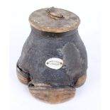 Rhinoceros foot tobacco jar