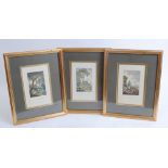 Three framed and glazed coloured engravings: Partridge; Pheasant; Grouse