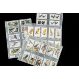 Cigarette Cards, Birds, 4 complete sets to include Players Poultry and Aviary and Cage Birds,