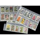 Cigarette Cards, Floral, Wills's Garden Flowers and Flower Culture in Pots, together with Gallaher's