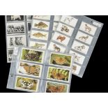 Cigarette Cards, Animals, 5 sets to include Players Dogs by Wardle, Senior Service Dogs, Carreras