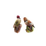 A collection of Royal Worcester Series 1 bisque bird figures,  including Kingfisher 3235, Jay