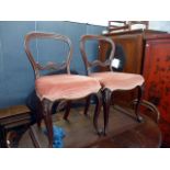 A set of five Victorian mahogany balloon back  dining chairs,  with stuff over seats on cabriole