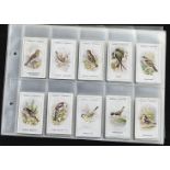 Cigarette Cards, British Birds, Gallaher's set (100 cards overallgd/vg)
