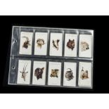 Cigarette Cards, Nature, various Player sets to include Wild Animal Heads and Struggle for