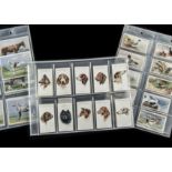 Cigarette Cards, Animals & Birds, 3 complete Player's sets to include Dogs (by Wardle Heads, 50),