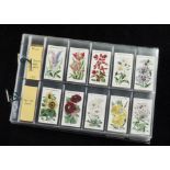 Cigarette Cards, Floral, complete sets by Will's to include Old English Garden Flowers (1st & 2nd