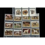 Cigarette Cards, Dogs, Wills's Dogs Series 3 (vg) together with Dogs Series 2 part set (22/25, no'