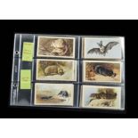 Cigarette Cards, Animals, 4 sets by Players Grandee, Top Dogs, British Birds, and 2 sets of
