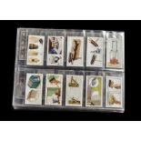 Cigarette Cards, Mixture, a collection of 7 sets to include Will's Roses, Household Hints (2