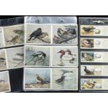Cigarette & Trade Cards, Birds, Imperial Tobacco Company Birds of Canada (by permission of