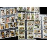 Cigarette Cards, Mixture, Gallaher's sets to include Army Badges, Wild Animals, Butterflies & Moths,