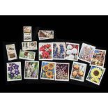 Cigarette Cards, Floral, complete Will's sets to include Roses, Wild Flowers A & 2nd Series adhesive