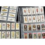 Cigarette Cards, Mixture, 4 Black Cats complete sets to include Sport Fish, Flowers All Year