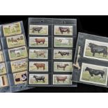 Cigarette Cards, Animals, Players British Live Stock, and British Live Stock (X size brown back pack