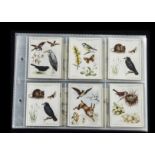 Cigarette Cards, Animals, sets to include Player's A Nature Calendar, Gallaher's Dogs (block