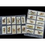 Cigarette Cards, Animals, Players, part set Wild Animals of the World, (wide, no Ltd) 65 cards of