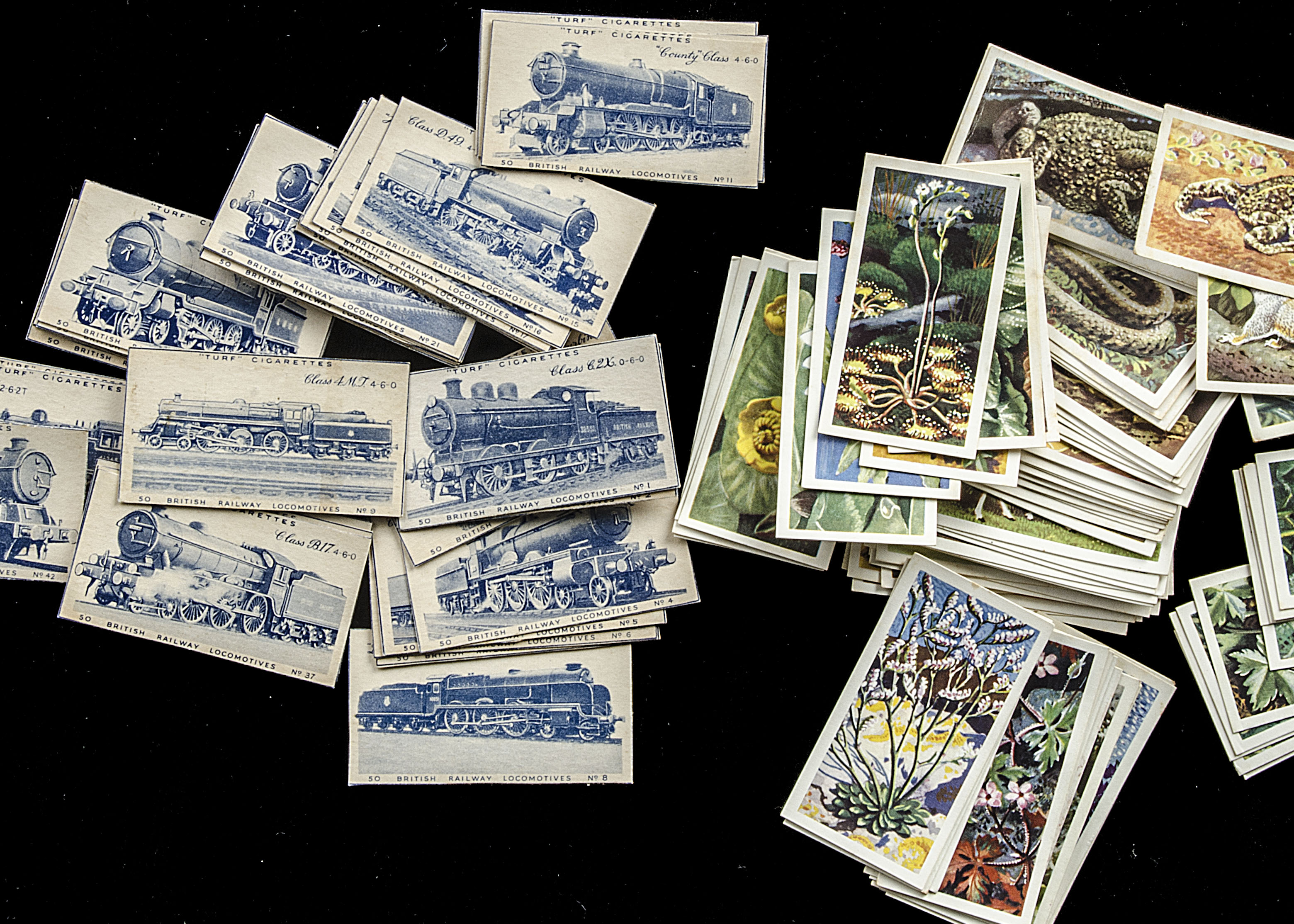 Cigarette Cards, Carreras Turf Slides, complete sets, Famous Dog breeds, British Aircraft and