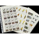 Cigarette Cards, Birds, a selection of sets to include Phillip's British Birds & Their Eggs,