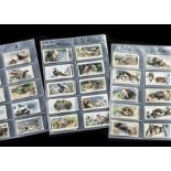 Cigarette Cards, Animals & Birds, 4 complete Player's sets to include Birds & Their Young, Animals