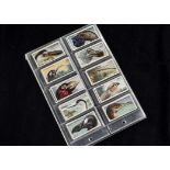 Cigarette Cards, Birds, Players sets, a variety to include Curious Beaks, Birds & Their Young, Games