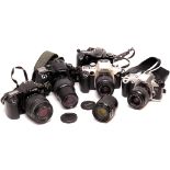 Various Canon SLR Cameras: quantity of various Canon SLR cameras including EOS 50, EOS 30 and