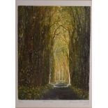 Frances Shearing, 20th century, a limited edition print on paper, Avenue, 24cm by 19cm, signed and