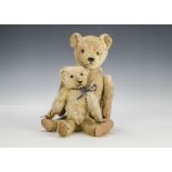 An early German teddy bear 1910-20s, with golden mohair, black boot button eyes, pronounced